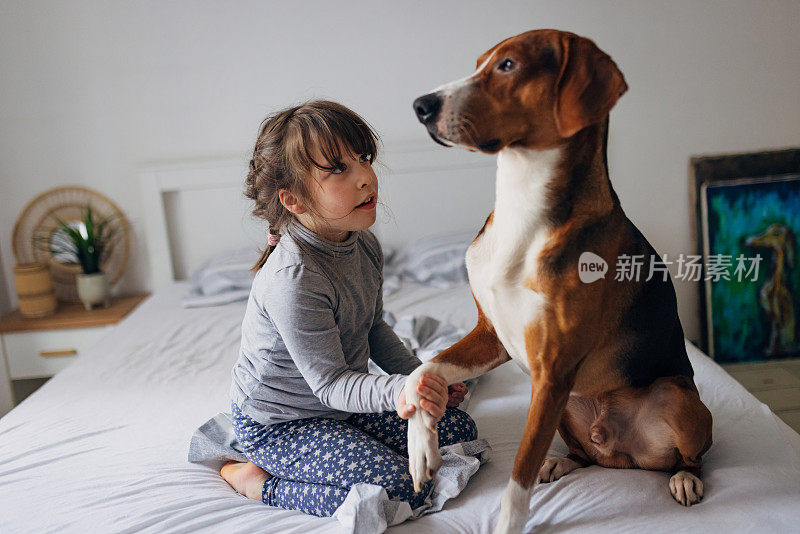 一个可爱的小女孩喜欢在家里和她驯服的猎犬玩耍