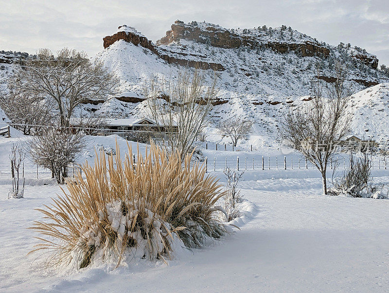 犹他州洛克维尔的下雪天和前院