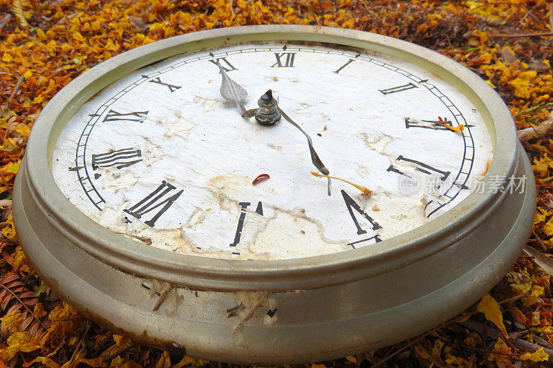 秋叶上的复古时钟