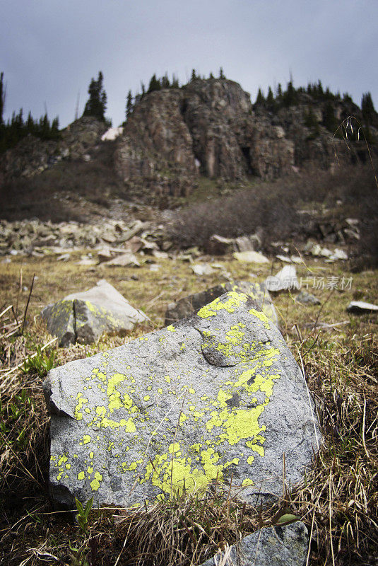 青苔巨石山景观