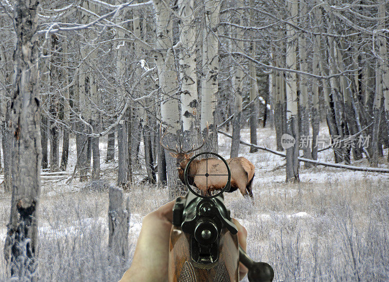 用步枪和瞄准镜发现一只大公麋鹿
