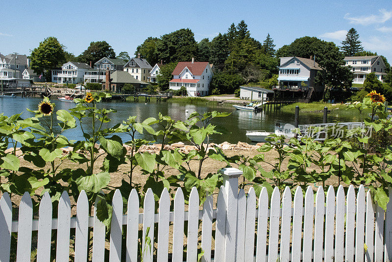 尖桩篱笆和向日葵海滩夏季住宅康涅狄格州石溪