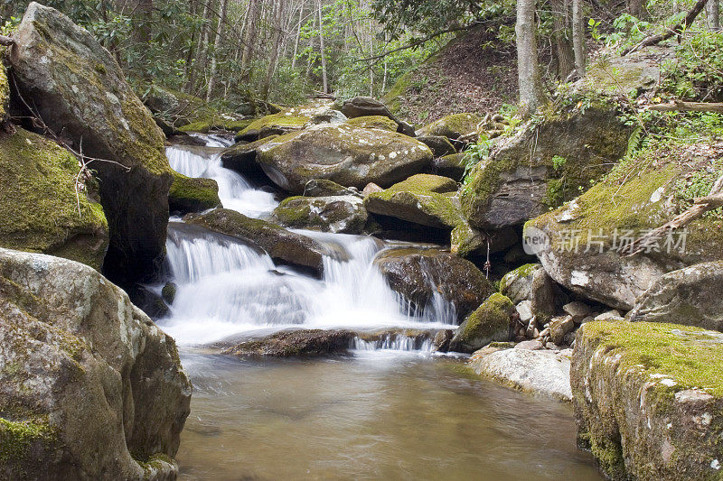 小溪，苔藓岩石，和小瀑布