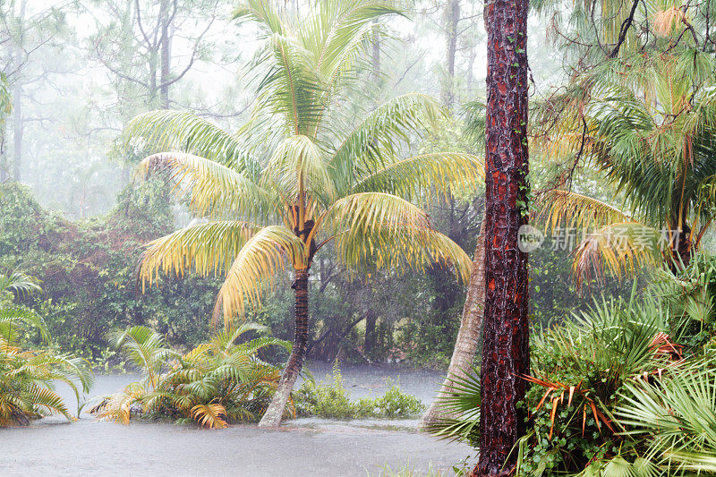 热带地区的暴雨