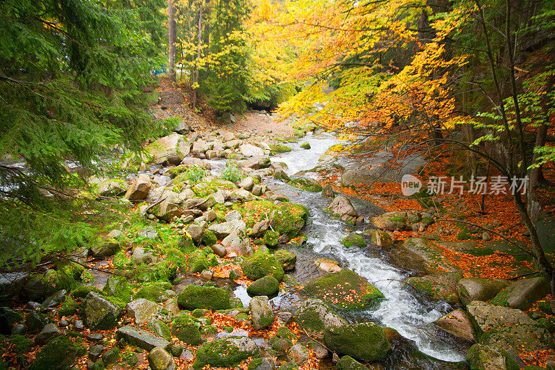 高山流水