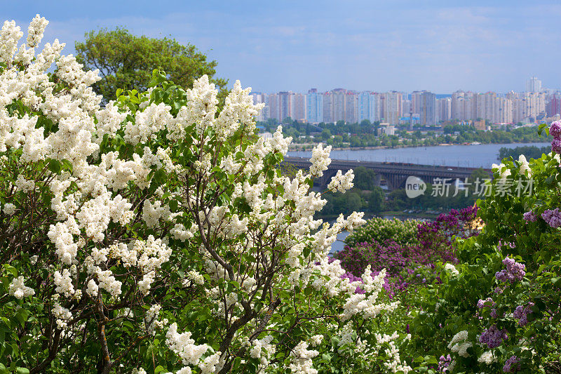 基辅的城市