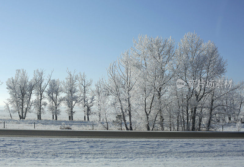下着雪的早晨，南阿尔伯塔横越加拿大高速公路上