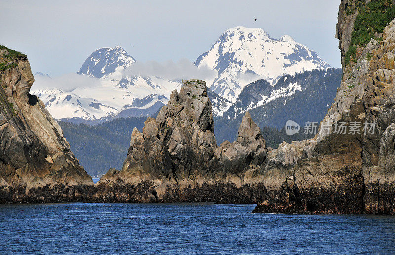 奇斯韦尔群岛，基奈峡湾国家公园，阿拉斯加，美国