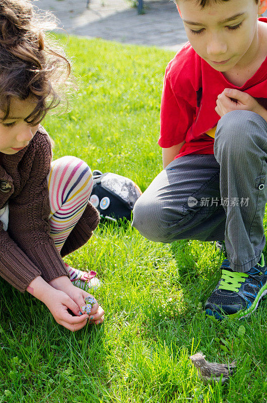 两个孩子在草地上发现了一只被遗弃的雏鸟