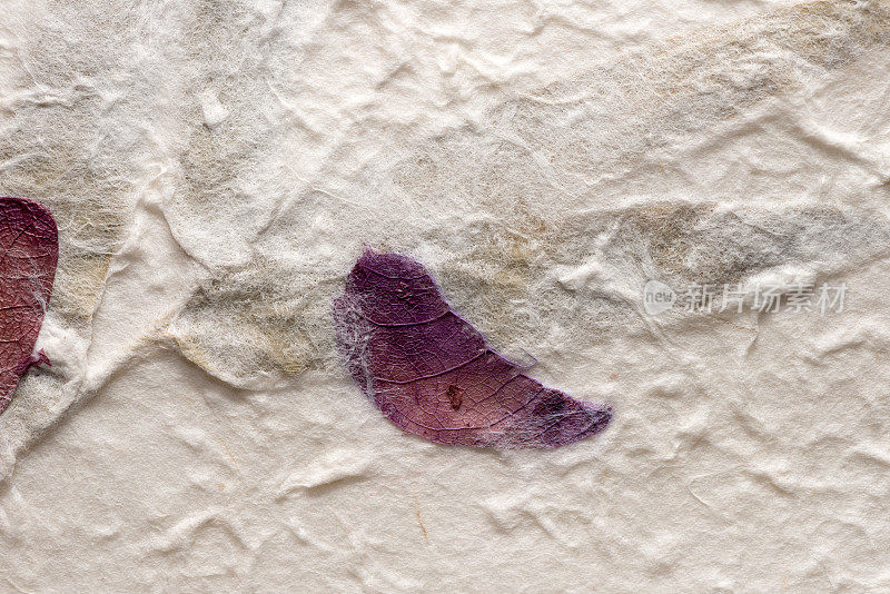 宏观纹理细节背景:花叶紫色纸