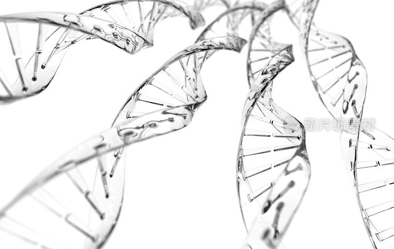 白色背景上的DNA链