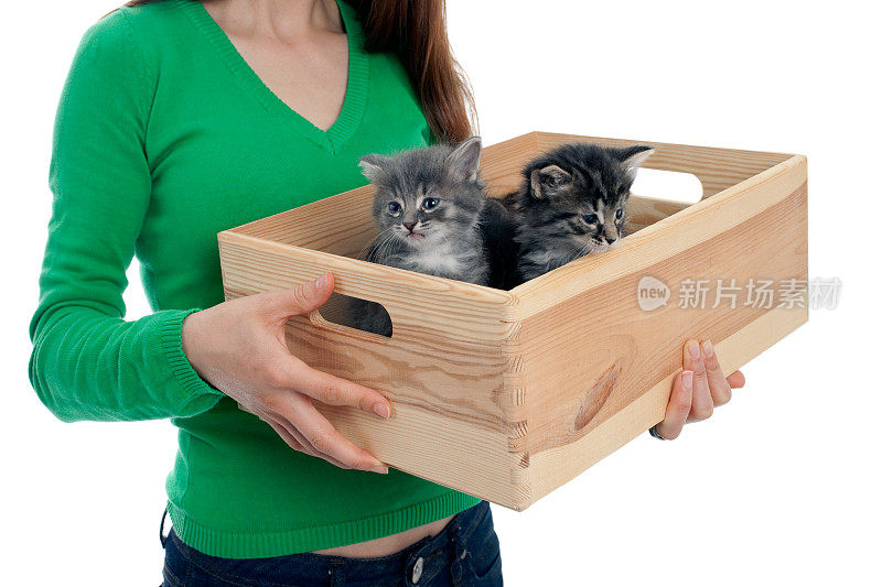 年轻女人和一只装满小猫的木盒子