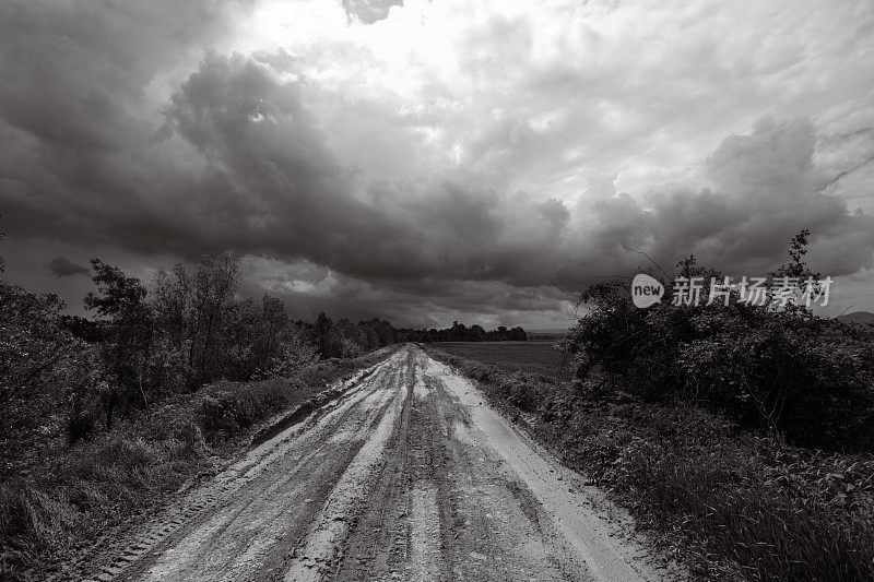 泥泞的道路