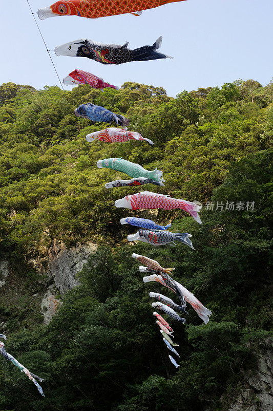 日本德岛县上空的鲤鱼横幅或Koinobori