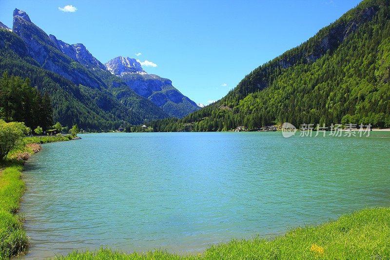 白云石意大利高山阿勒格湖，西维塔山，绿色松树