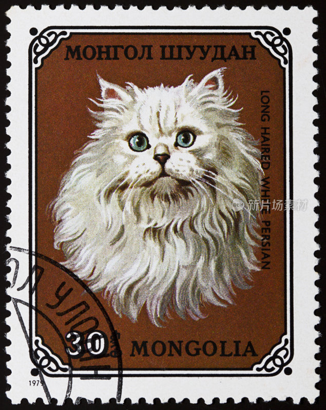 猫的邮票