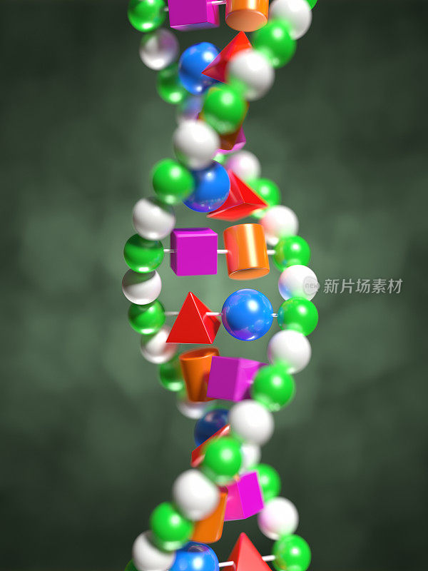 DNA分子模型xl+