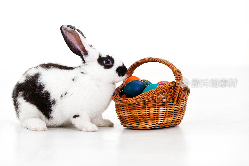 带着复活节篮子和彩蛋的小兔子