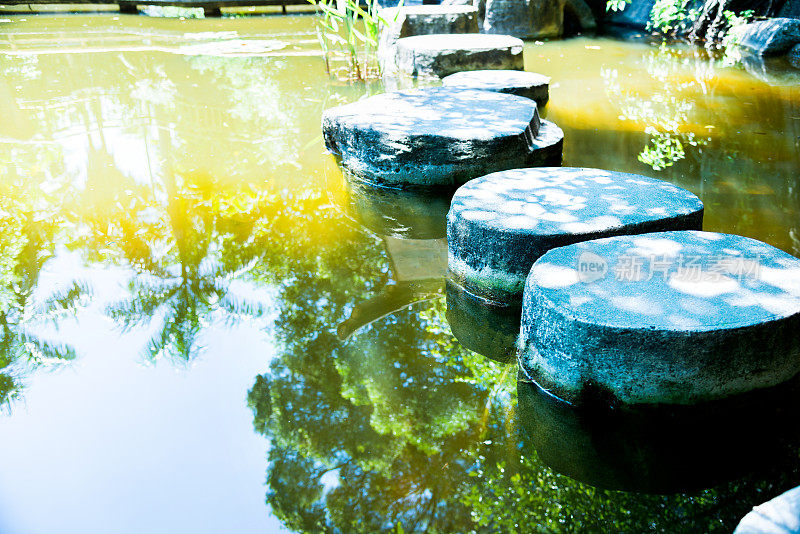 公园池塘上的垫脚石