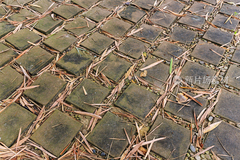 水泥砌块步道，竹叶飘落