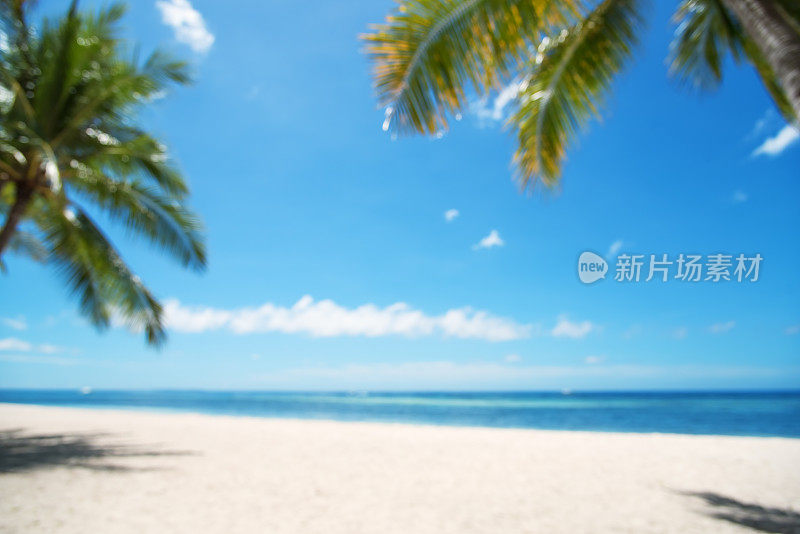 热带海滩夏季抽象背景