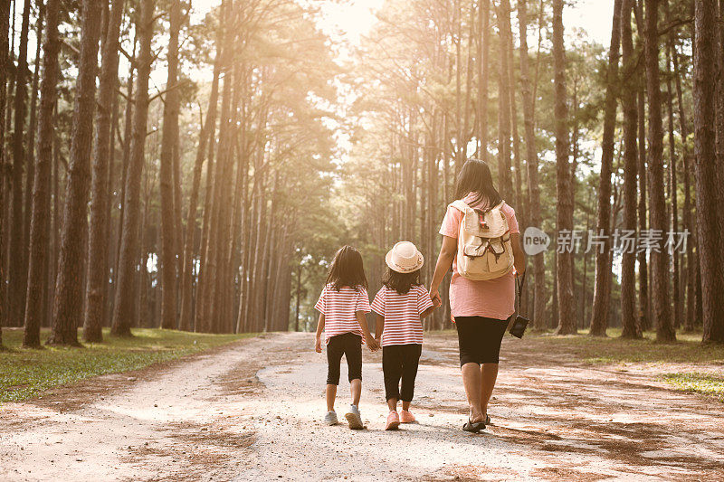 母亲和孩子女儿手牵着手一起走在松树公园里