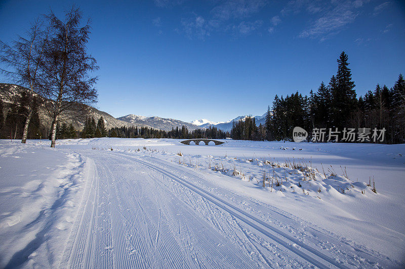 惠斯勒冬季越野滑雪道的风景。