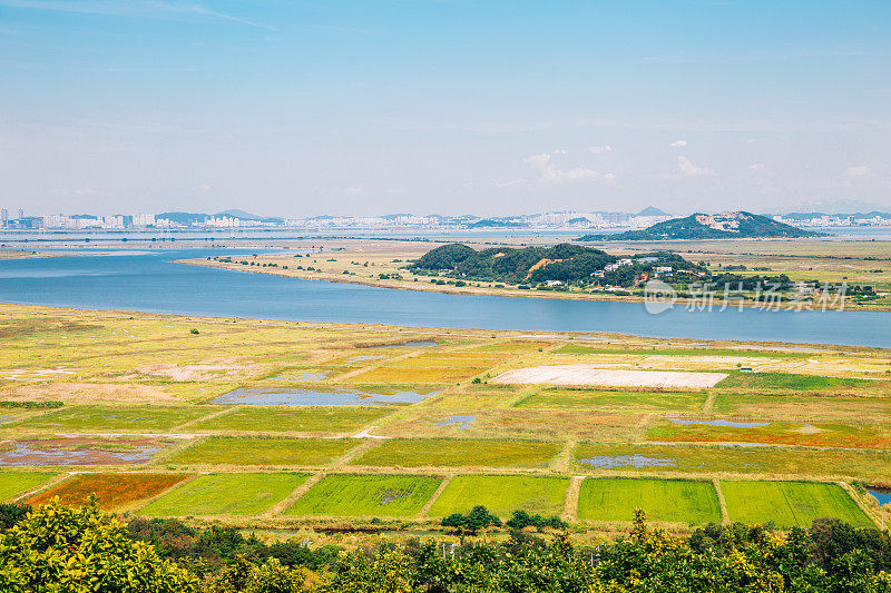 韩国安山大武道的稻田和蓝色的大海