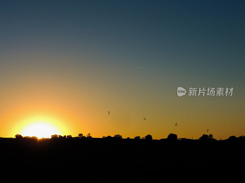 日落与鸟儿在天空