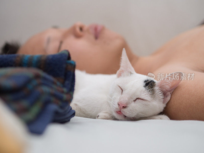 猫和主人一起睡觉