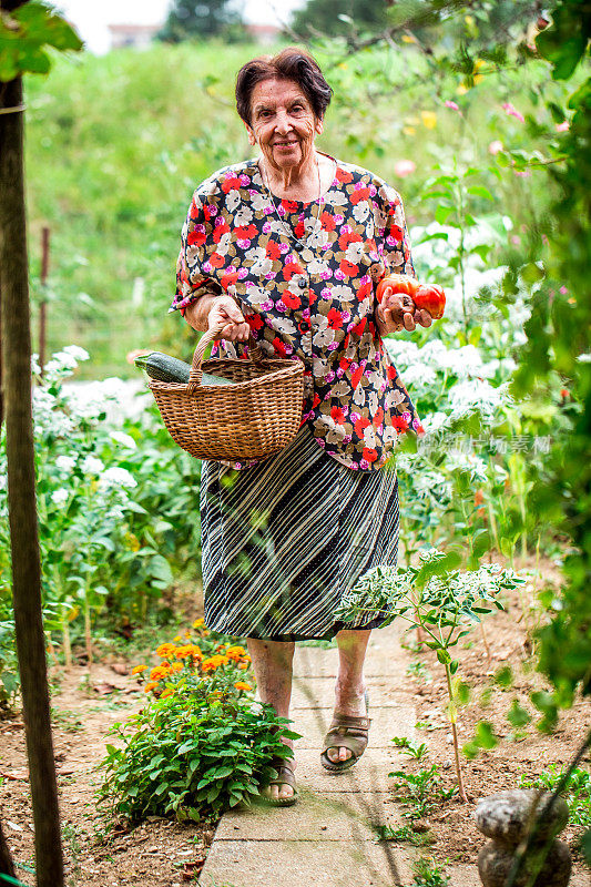 菜园子里的老妇人