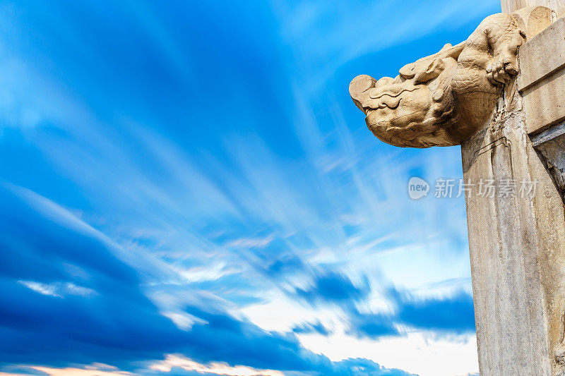 北京紫禁城石雕龙