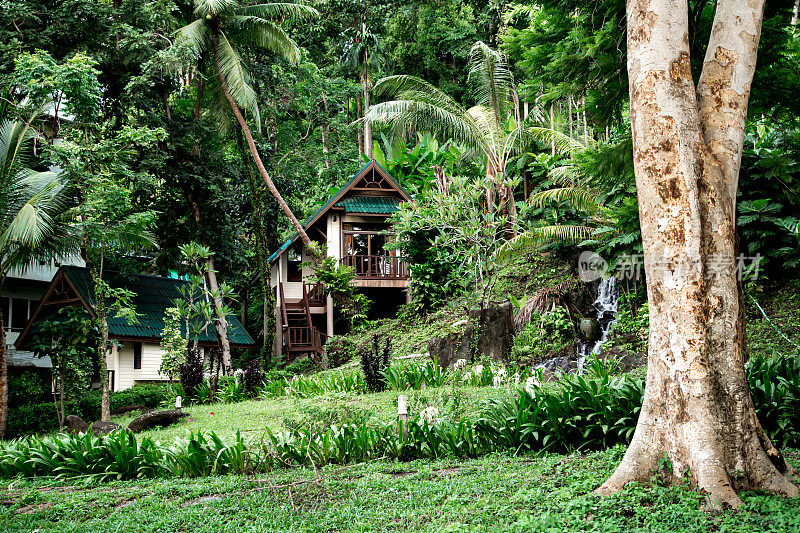 泰国热带森林里的房子