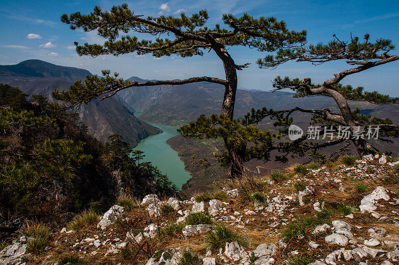 德里纳峡谷