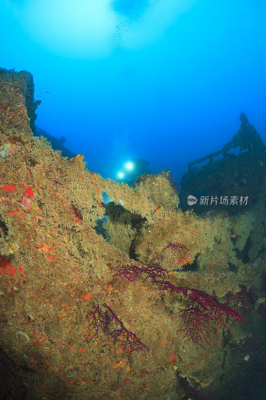 技术潜水水肺潜水员探索和享受沉船潜水海上生活水上运动技术潜水水肺潜水员的观点