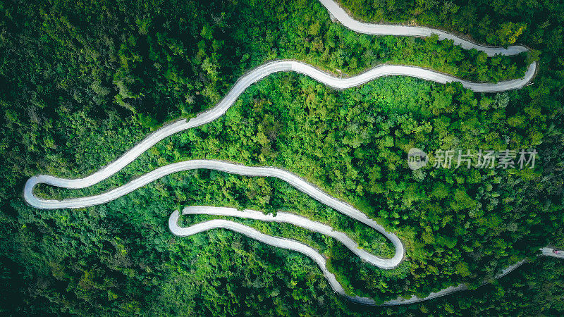 通过森林的道路俯视图