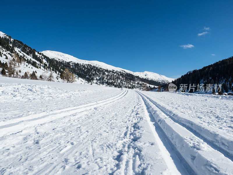 越野雪道