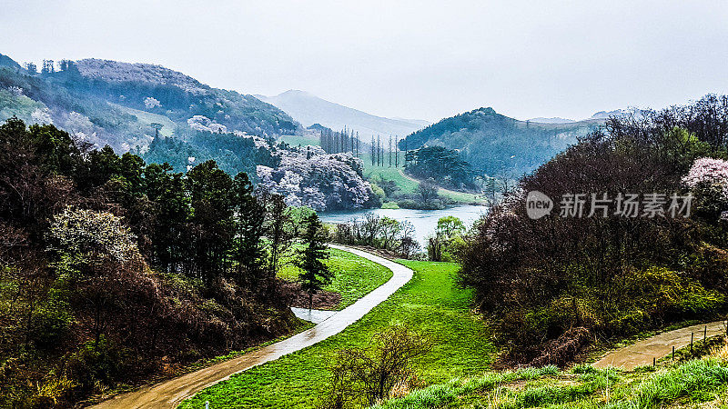 美丽的风景，包括森林中的一个湖泊