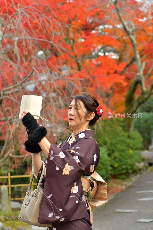 穿着和服的日本妇女在京都拍摄秋叶