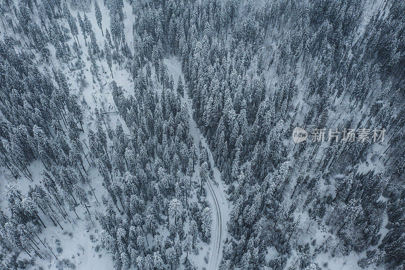 喀尔巴阡山脉冬季森林鸟瞰图