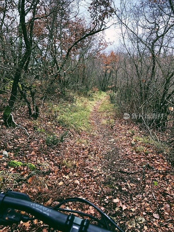 一对年轻夫妇在克罗地亚的森林里骑山地自行车