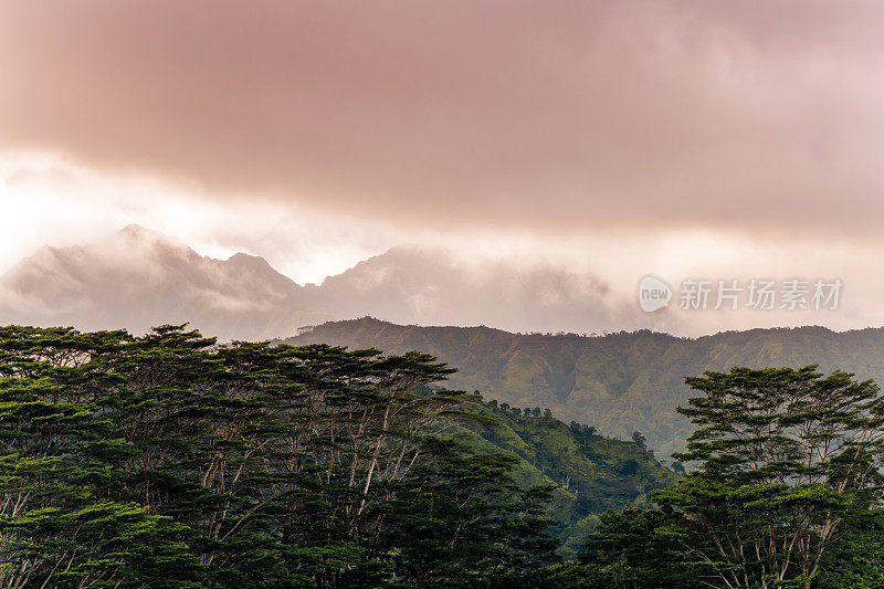 郁郁葱葱的怀aleale山笼罩在薄雾中，是地球上最潮湿的地方