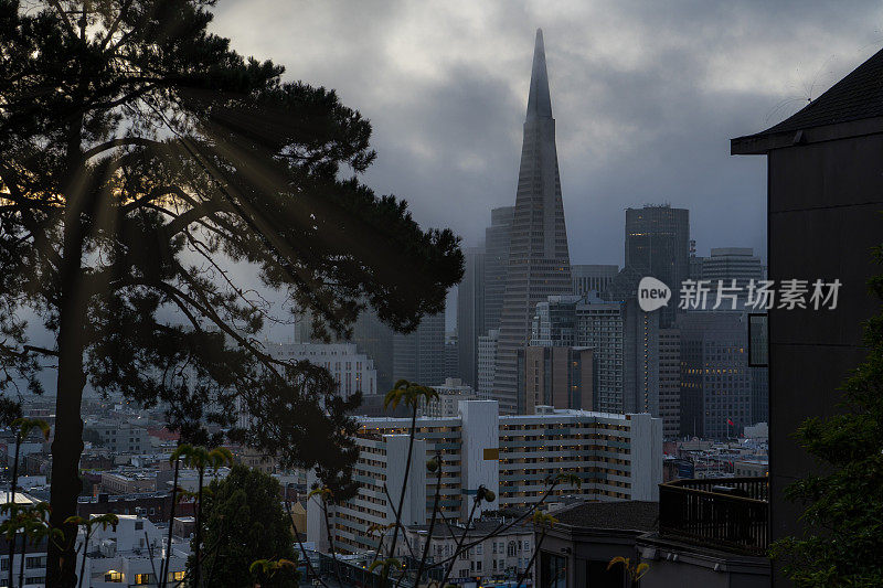 旧金山摩天大楼上空的大雾清晨