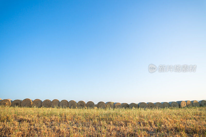 风景优美的托斯卡纳风景与起伏的山丘和山谷在金色的晨光，瓦尔德奥西亚，意大利