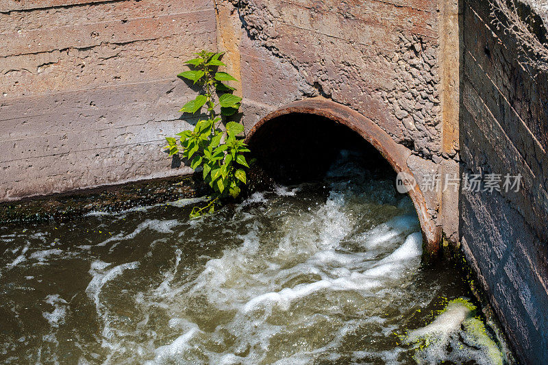 水流从混凝土墙上的管子里流出的水流