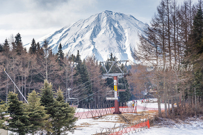 富士山景色与坡雪谷松树，富士山山顶美丽的美景在冬季的时候在富士藤