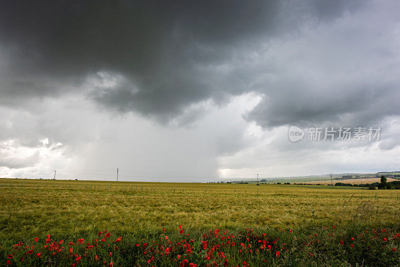 田野下大雨