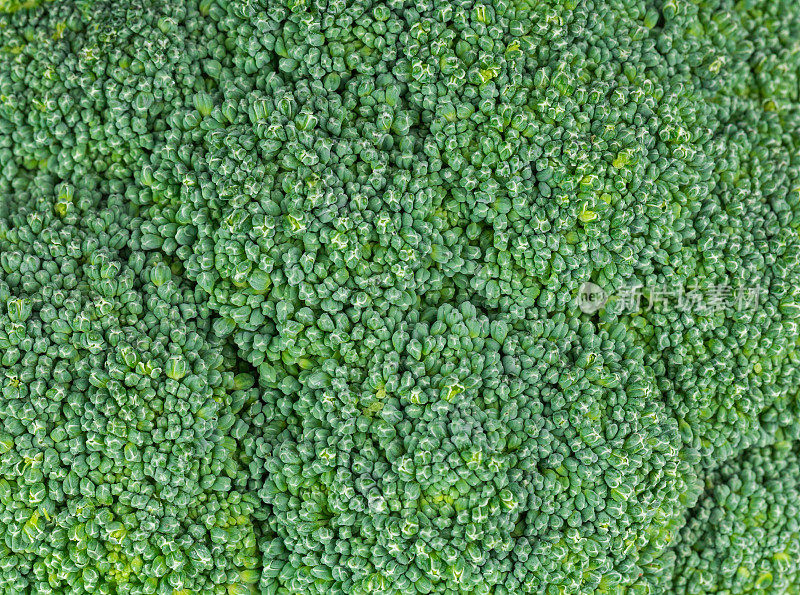 花椰菜花蕾特写