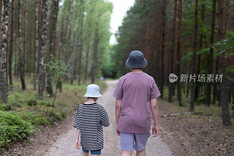 小男孩们在森林里散步