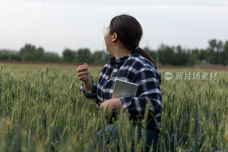 一位女农民手里拿着一块碑，站在一片广阔的绿色麦田里